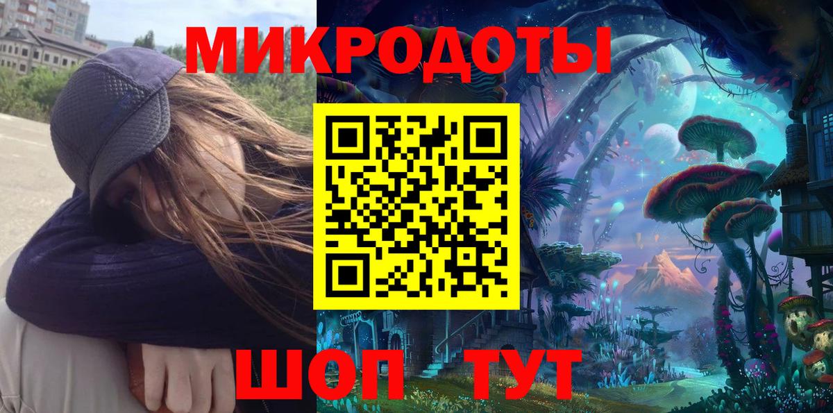 Димитровград  Галлюциногенные грибы прущие грибы  Вход с VPN 