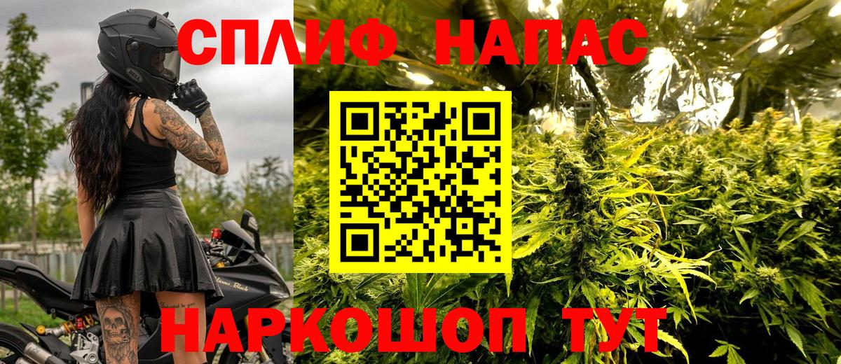 МАРИХУАНА гибрид Димитровград